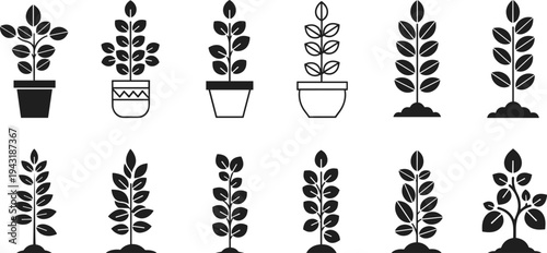 Black and White Minimalist Houseplant Icons Set Featuring Potted Plants and Seedlings in Soil for Nature Graphic Design and Web Development