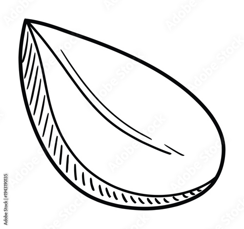 Simple Pistachio Nut Hand Drawn Vector Illustration