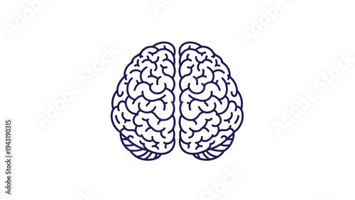 Detailed black and white line art drawing of a human brain, illustrating complex thought, intelligence, and cognitive functions.