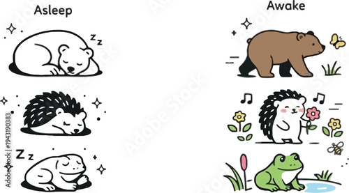 Sleeping animals transform into awake and happy creatures in nature