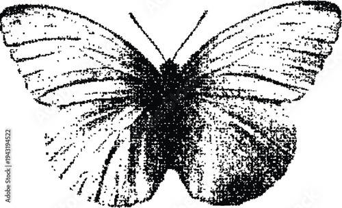 A black and white pixelated image of a butterfly with open wings  isolated on transparent  background
