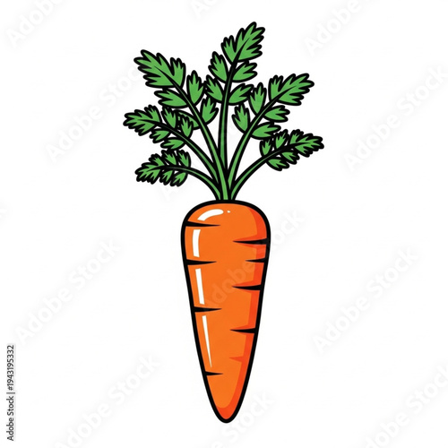 Fresh Orange Carrot with Green Leaves.