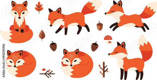 Cute Red Fox Cartoon Vector Set Featuring Adorable Foxes Sitting, Walking, Sleeping and Curling with Autumn Leaves, Mushrooms, Pinecones and Woodland Forest Elements.