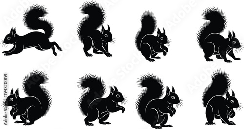 Black Squirrel Silhouettes Set Featuring Various Poses Like Jumping Sitting and Standing Isolated on White Background for Wildlife Nature Graphic Design Projects
