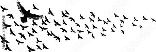 Flock of birds silhouette illustration, detailed leading bird vector art, flying motion design concept, nature wildlife artwork, symbolic leadership drawing