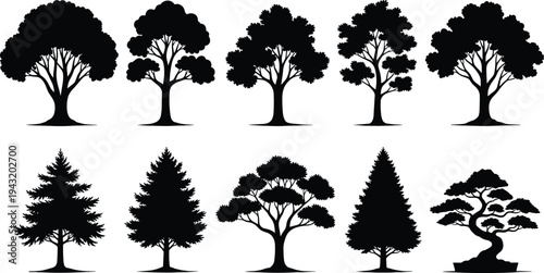 Black Tree Silhouettes Set Featuring Various Species Like Pine Oak and Bonsai Isolated on White Background for Nature Landscape and Forest Graphic Design