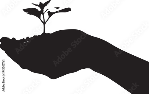Silhouette of hand holding seedling with soil plant