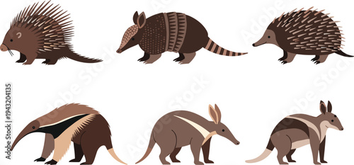 Australian wildlife mammals vector set featuring echidna armadillo anteater aardvark numbat and pangolin style animals isolated flat illustration collection