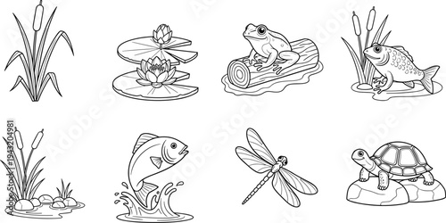 Collection of charming line art illustrations depicting various pond and wetland creatures and plants