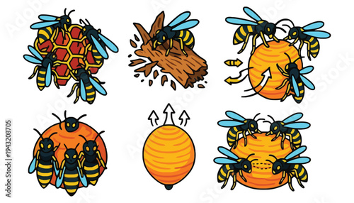 Bee illustration set with honeycomb and various bee scenes