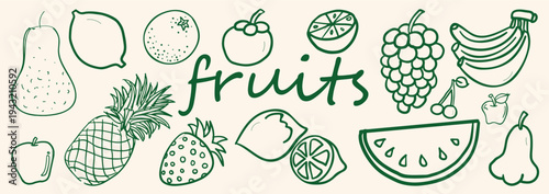 Hand drawn vector set of various fruits. Sketch fruit set. Various fruits drawn with lines. Vector illustrations