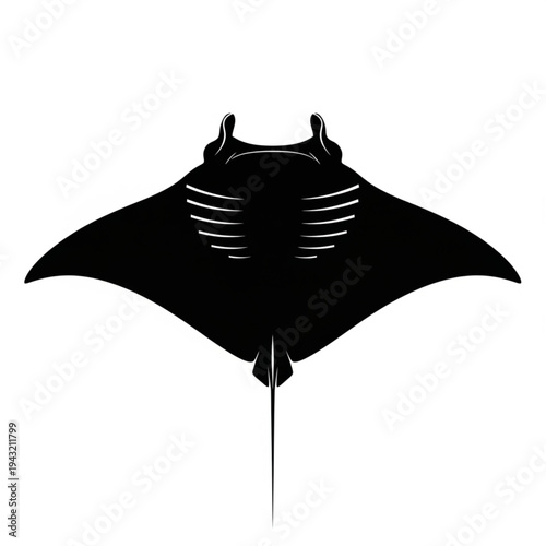 Manta Ray Silhouette Isolated on White Background.