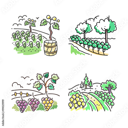 Assortment of four charming vineyard illustrations with grapes and wine barrels