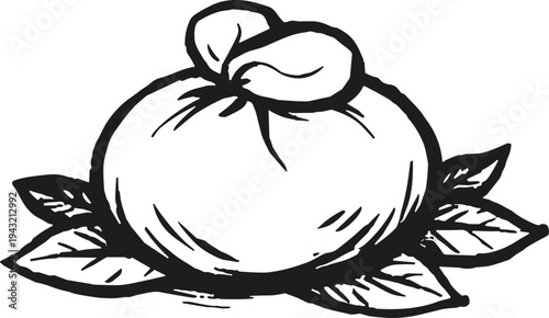 Hand-drawn illustration of a cheese ball with leaves, perfect for culinary or rustic themes