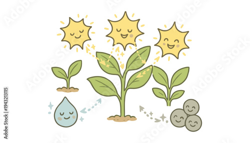 Plant growing from seed to sprout with sun and water illustration