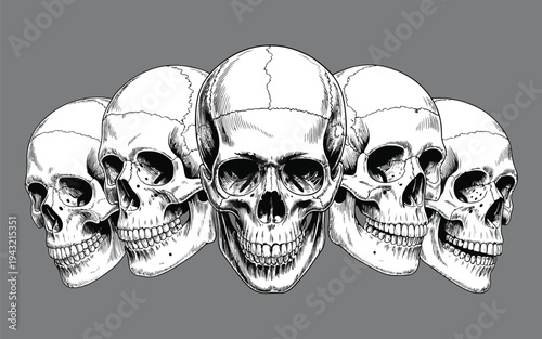 An intricate pen and ink style depiction of five human skulls arranged in a stark composition