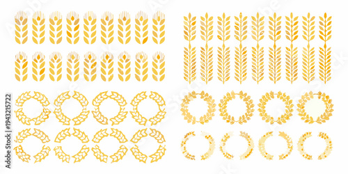 Golden wheat stalks wreaths and circular arrangements on white background
