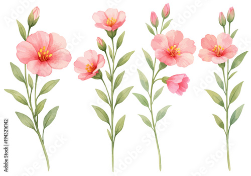 A charming watercolor collection of Clarkia blooms featuring delicate pink flowers with soft green leaves illustrated in a botanical floral style.