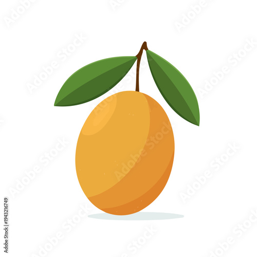 Simple flat 2D vector graphic of Sapodilla, modern icon look, displayed on a pure white background.