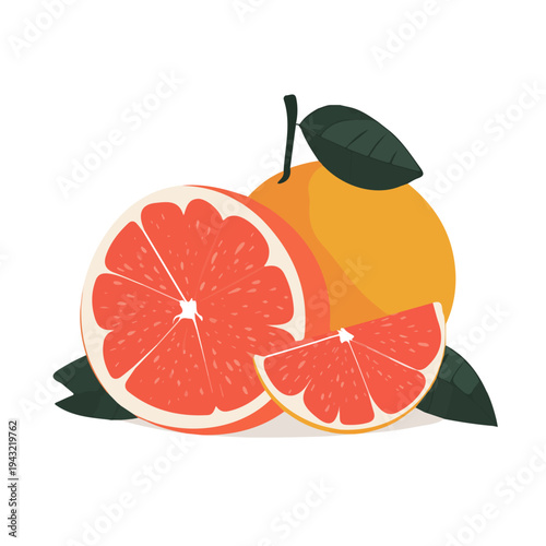 Simple flat 2D vector graphic of Grapefruit, modern icon look, displayed on a pure white background.