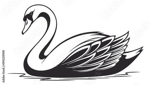 Vector illustration of elegant swan swimming on water black and white silhouette stencil graphic