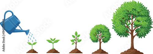 Tree growth stages from seedling to mature tree with watering can gardening lifecycle flat vector illustration set