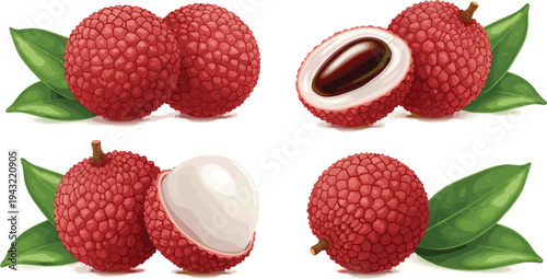 Fresh lychee fruit whole and peeled with seed tropical organic food realistic flat vector illustration set isolated