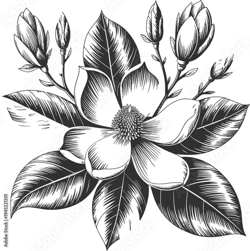 he central flower has eight large petals arranged in a circular pattern and a detailed center with visible stamens..eps