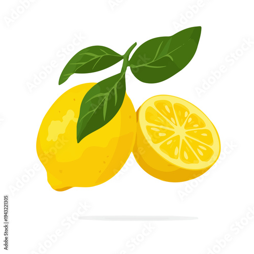 Yuzu, modern 2D flat vector illustration in icon style, isolated on pure white background.