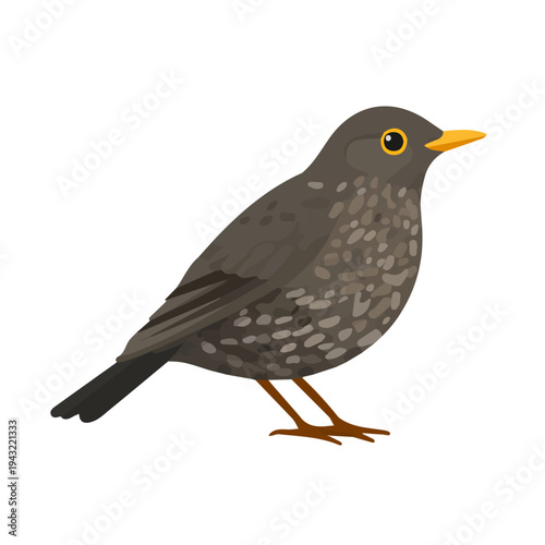 Thrush, modern 2D flat vector illustration in icon style, isolated on pure white background.