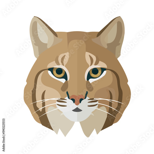 Simple flat 2D vector graphic of Bobcat, modern icon look, displayed on a pure white background.