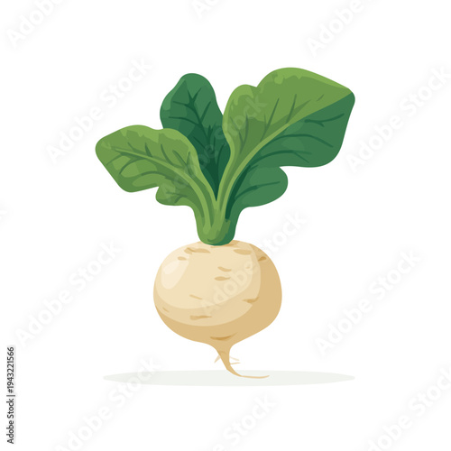Simple flat 2D vector graphic of Turnip, modern icon look, displayed on a pure white background.