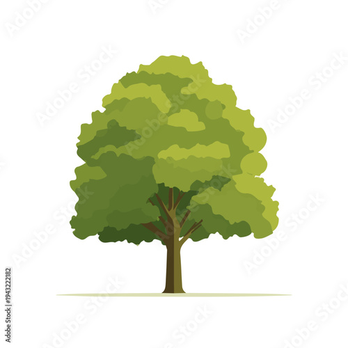 2D flat vector illustration of Plane Tree, clean and minimal icon style, isolated on white background.