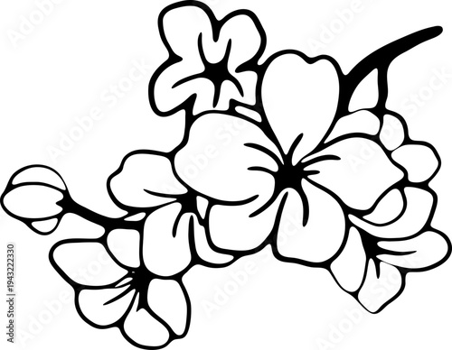 Branche de cerisier en fleurs