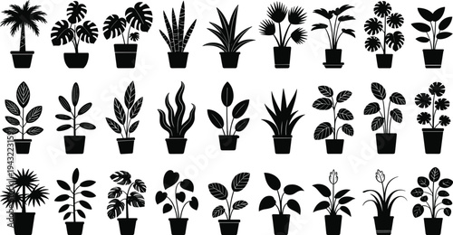 Collection of various black and white potted plants with different leaf shapes and sizes arranged in rows