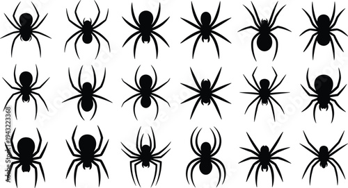 Collection of black spider silhouettes in various poses on a white background