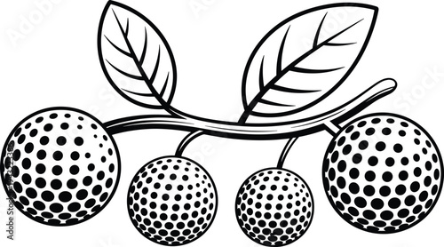 Four round spotted fruits hanging from a branch with two leaves in a black and white