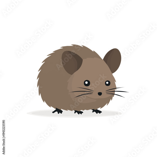 Vole illustrated in a clean 2D flat vector style, minimal and modern, isolated on a white background.