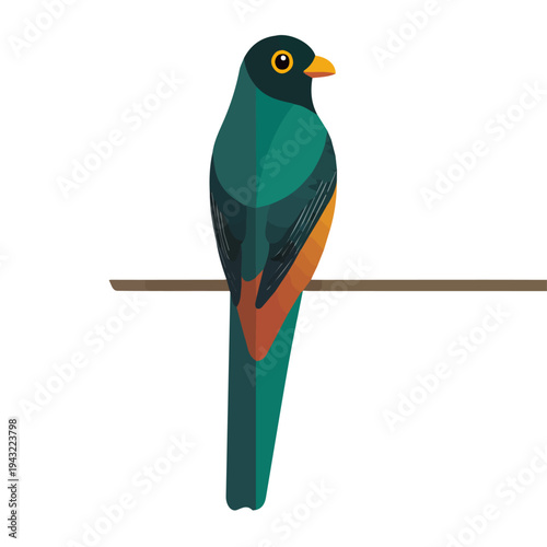 Modern flat 2D vector illustration of Trogon, clean and minimal design, isolated on white background.