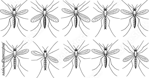 Nine black and white of mosquitoes with detailed wings and segmented bodies segmented body