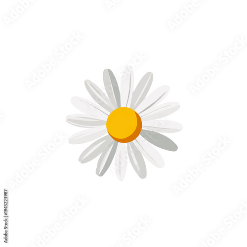 Flat 2D vector illustration of Chamomile Flower, simple icon style on a clean white background.