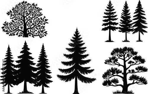 Six black and white tree including various types of trees and conifers
