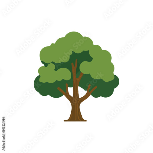 2D flat vector illustration of Teak Tree, designed in a clean icon style and isolated on a white background.