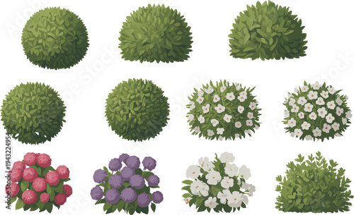 Various types of green shrubs and colorful flower bushes arranged in a grid pattern flowers white