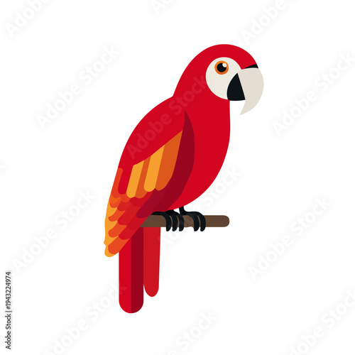 Macaw illustrated in a clean 2D flat vector style, minimal and modern, isolated on a white background.