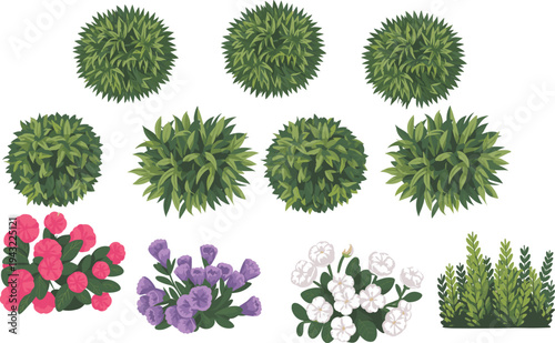 Various green shrubs and colorful flower arrangements on a white background plants foliage flowers