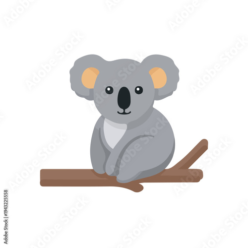 Photography Koala, 2D flat vector illustration, simple and modern style, isolated on a plain white background