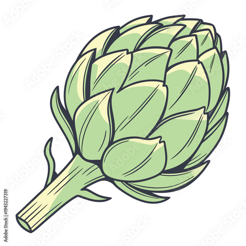 Vector illustration of fresh green artichoke vegetable illustration for culinary design