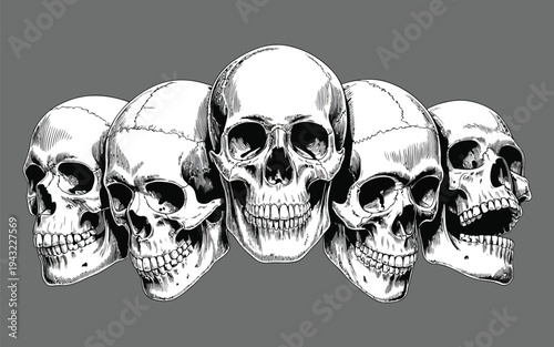 Five detailed human skulls presented in a distinctive illustrative style on a plain grey background