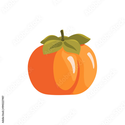 Persimmon, modern 2D flat vector illustration in icon style, isolated on pure white background.